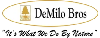 demilo bros Logo black